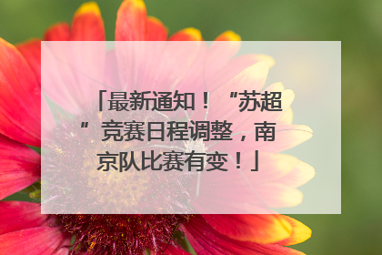 最新通知！“苏超”竞赛日程调整，南京队比赛有变！