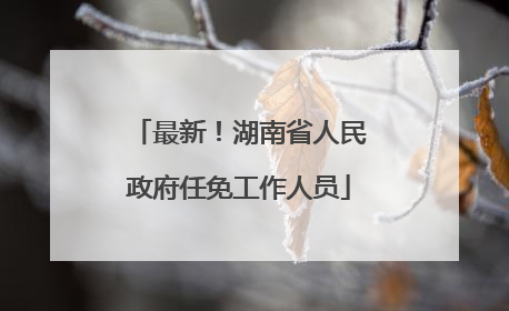 最新！湖南省人民政府任免工作人员