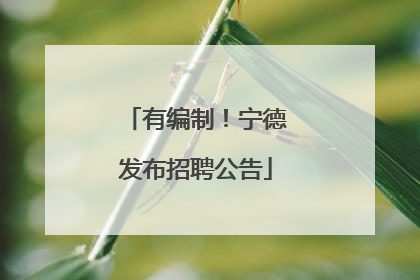 有编制！宁德发布招聘公告