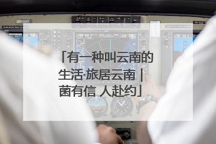 有一种叫云南的生活·旅居云南｜菌有信 人赴约