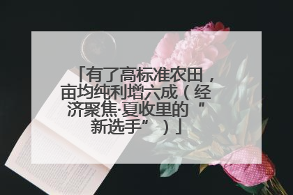 有了高标准农田，亩均纯利增六成（经济聚焦·夏收里的“新选手”）