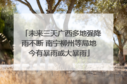 未来三天广西多地强降雨不断 南宁柳州等局地今有暴雨或大暴雨