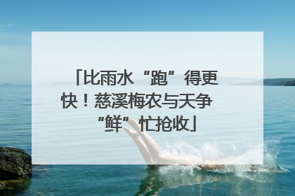 比雨水“跑”得更快！慈溪梅农与天争“鲜”忙抢收