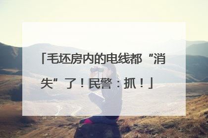 毛坯房内的电线都“消失”了！民警：抓！