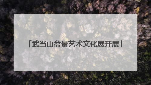 武当山盆景艺术文化展开展