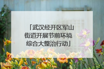 武汉经开区军山街道开展节前环境综合大整治行动