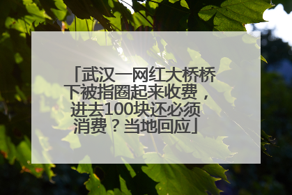 武汉一网红大桥桥下被指圈起来收费，进去100块还必须消费？当地回应