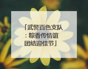 武警百色支队：粽香传情谊 团结迎佳节