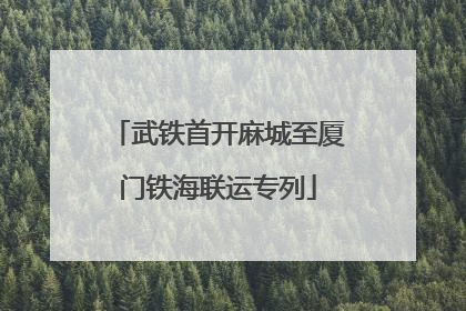 武铁首开麻城至厦门铁海联运专列