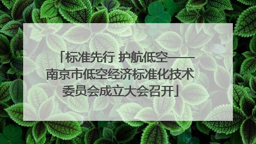 标准先行 护航低空——南京市低空经济标准化技术委员会成立大会召开