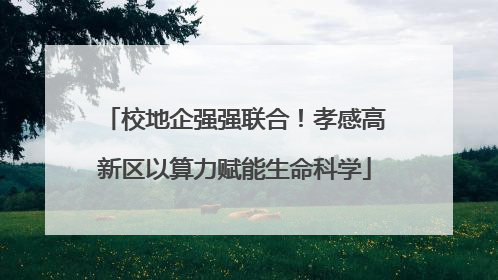 校地企强强联合！孝感高新区以算力赋能生命科学
