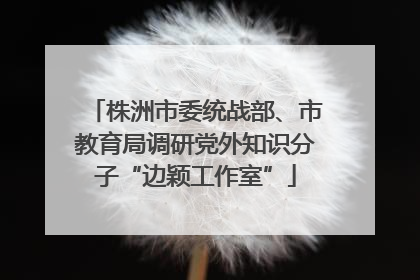 株洲市委统战部、市教育局调研党外知识分子“边颖工作室”