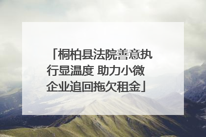 桐柏县法院善意执行显温度 助力小微企业追回拖欠租金
