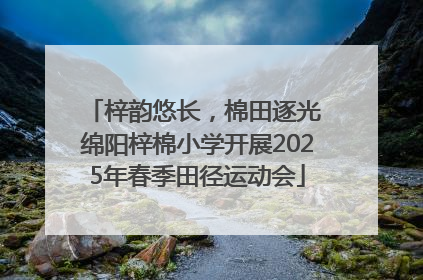 梓韵悠长，棉田逐光 绵阳梓棉小学开展2025年春季田径运动会
