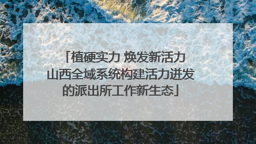 植硬实力 焕发新活力 山西全域系统构建活力迸发的派出所工作新生态
