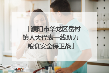 濮阳市华龙区岳村镇人大代表一线助力粮食安全保卫战