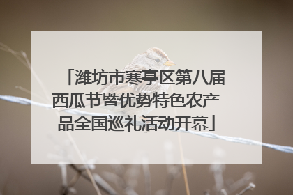 潍坊市寒亭区第八届西瓜节暨优势特色农产品全国巡礼活动开幕