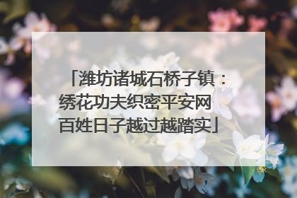 潍坊诸城石桥子镇：绣花功夫织密平安网 百姓日子越过越踏实