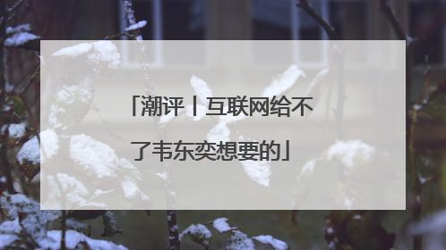 潮评丨互联网给不了韦东奕想要的
