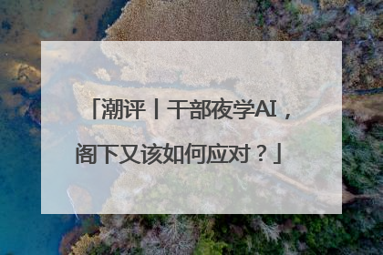潮评丨干部夜学AI，阁下又该如何应对？