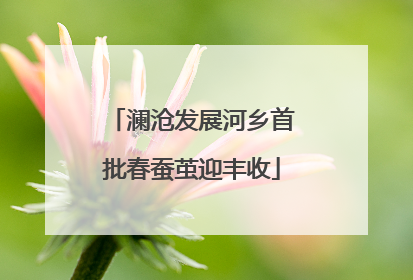 澜沧发展河乡首批春蚕茧迎丰收