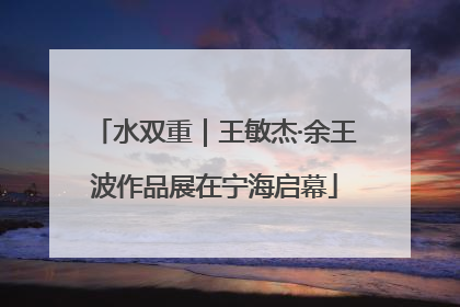 水双重｜王敏杰·余王波作品展在宁海启幕