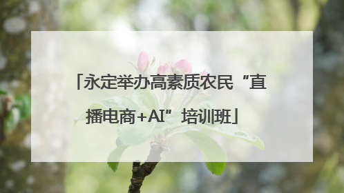 永定举办高素质农民“直播电商+AI”培训班