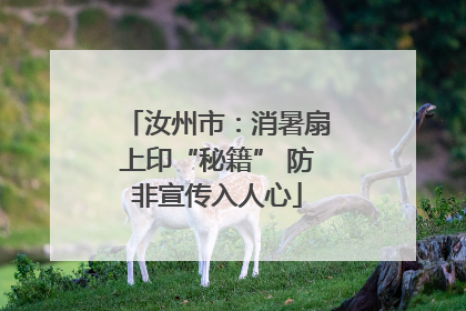 汝州市：消暑扇上印“秘籍” 防非宣传入人心