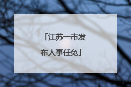 江苏一市发布人事任免