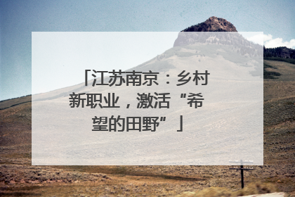 江苏南京：乡村新职业，激活“希望的田野”