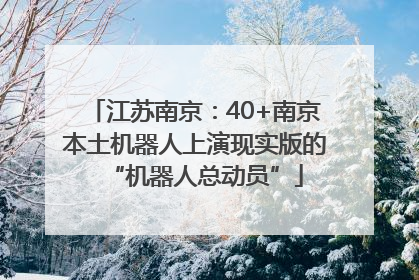 江苏南京：40+南京本土机器人上演现实版的“机器人总动员”