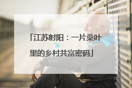 江苏射阳：一片桑叶里的乡村共富密码