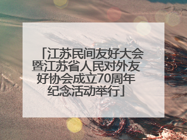 江苏民间友好大会暨江苏省人民对外友好协会成立70周年纪念活动举行