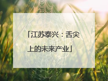 江苏泰兴：舌尖上的未来产业