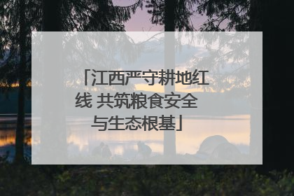 江西严守耕地红线 共筑粮食安全与生态根基