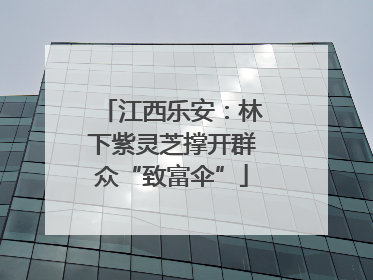 江西乐安：林下紫灵芝撑开群众“致富伞”