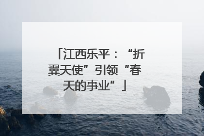 江西乐平：“折翼天使”引领“春天的事业”
