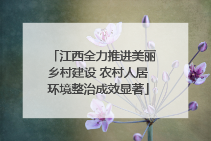 江西全力推进美丽乡村建设 农村人居环境整治成效显著