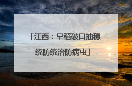 江西：早稻破口抽穗 统防统治防病虫