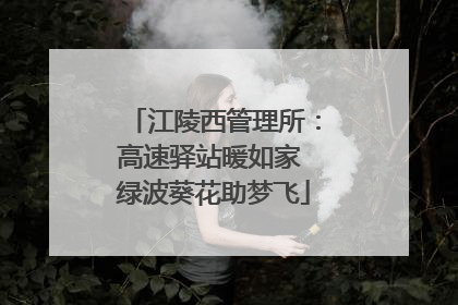 江陵西管理所：高速驿站暖如家 绿波葵花助梦飞