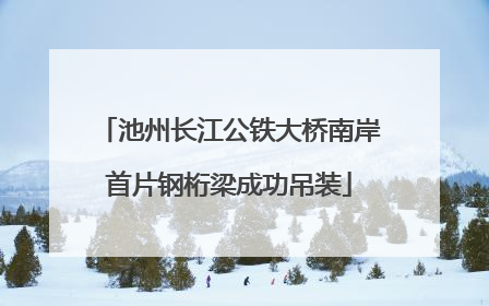 池州长江公铁大桥南岸首片钢桁梁成功吊装