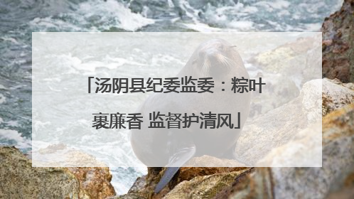 汤阴县纪委监委：粽叶裹廉香 监督护清风