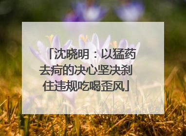 沈晓明：以猛药去疴的决心坚决刹住违规吃喝歪风
