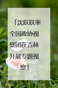 沈跃跃率全国政协视察团在吉林开展专题视察