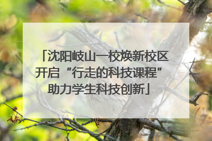 沈阳岐山一校焕新校区开启“行走的科技课程”助力学生科技创新