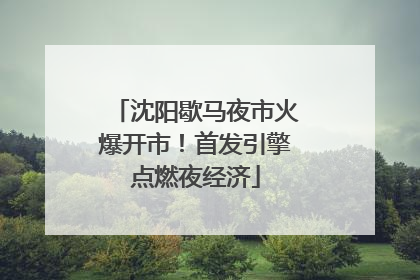 沈阳歇马夜市火爆开市！首发引擎点燃夜经济