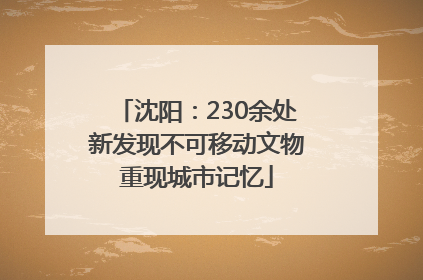 沈阳：230余处新发现不可移动文物重现城市记忆