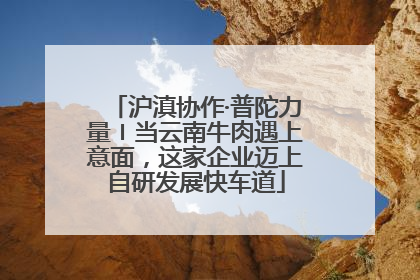 沪滇协作·普陀力量〡当云南牛肉遇上意面，这家企业迈上自研发展快车道