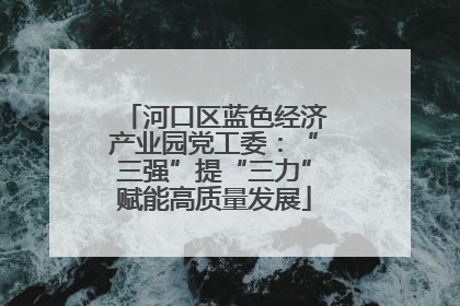 河口区蓝色经济产业园党工委：“三强”提“三力”赋能高质量发展