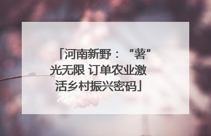 河南新野：“薯”光无限 订单农业激活乡村振兴密码